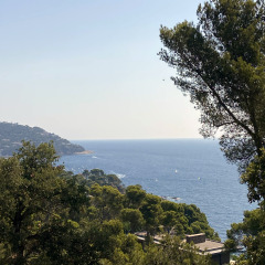 View of the Mediterranean Sea, lush greenery, and hills at Camping Begur in Catalonia, Spain.