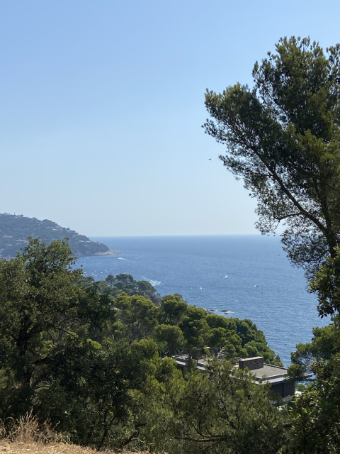 Aussicht auf das Mittelmeer, grüne Bäume und Hügel bei Camping Begur in Katalonien, Spanien.