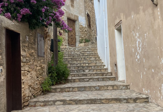 Stone steps in a quaint village at Camping Begur, Spain, bordered by rustic buildings and purple flowers.