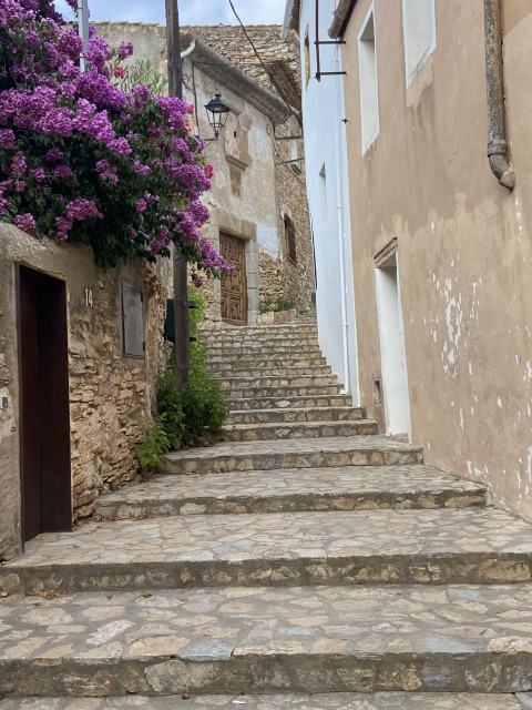 Escalier en pierre dans un village pittoresque près de Camping Begur, Espagne, bordé de fleurs violettes.