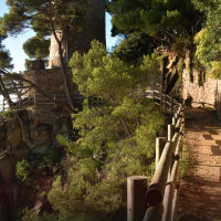 Sentier avec rambarde en bois et mur de pierre près de Palafrugell, Catalogne, entouré de pins et la mer.