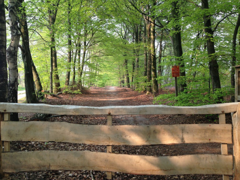 Houten hek met bospad en groene bomen in vakantiepark De Witte Berg, Overijssel, Nederland.