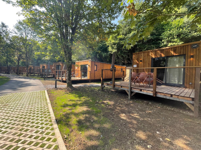 Houten chalets bij Ecolodge omgeven door groene bomen voor een ontspannen, natuurlijke verblijfservaring.