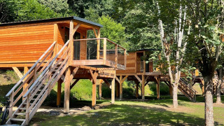 Een moderne boomhut op palen in het bos, met trap, terras en omringd door weelderige groene bomen.