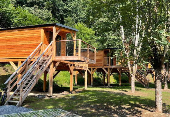 Een moderne boomhut op palen in het bos, bereikbaar via trappen en omringd door groene bomen.