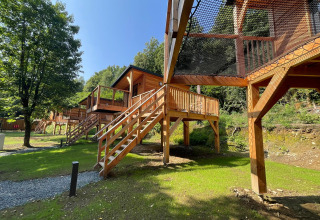 Bomenhutten op palen met touwbrug bij Hameau de l'Ourthe, België, omgeven door bomen en grasveld.