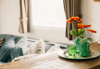 En lys stue i Veluwe lounge + sauna, Holiday park De Boshoek, med grøn vase og orange blomster.