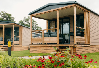 Tiny Lodge au Holiday park De Boshoek aux Pays-Bas, cabanons en bois avec terrasse et fleurs de jardin devant.