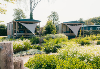 To Tiny Lodge-mini huse i frodig have på ferieparken De Boshoek, Holland, set i solrigt dagslys.