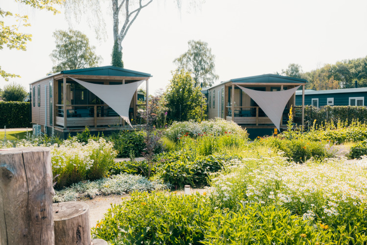 Two Tiny Lodge tiny houses amid lush garden at Holiday park De Boshoek, Netherlands, on a sunny day.