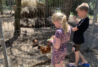Zwei Kinder füttern Hühner durch einen Zaun im Ferienpark Camping Begur in Katalonien, Spanien.