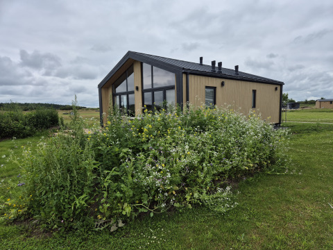 Lodge en bois Type Dommel à De Tien Heugten, Pays-Bas, entourée de verdure et de fleurs sauvages.