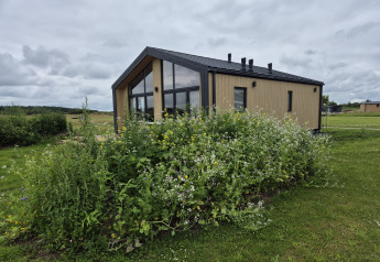 Type Dommel lodge at De Tien Heugten in the Netherlands, surrounded by green vegetation and wildflowers.