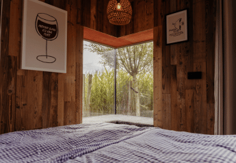 Vista interior del lodge Solglimt 4 Pers con paredes de madera y vista a la naturaleza en Duynpark Het Zwanenwater.