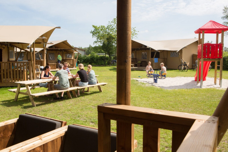 Gäste auf dem Feld bei den Safarizelten -Camping _t Veld - Rheeze, Overijssel, Niederlande