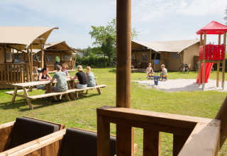 Invités sur le terrain près des tentes de safari -Camping _t Veld - Rheeze, Overijssel, Pays-Bas