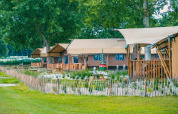 Safari telte ved Lodgetent Haven 4 på Zuiderzee i Holland, omgivet af grønne træer og natur.