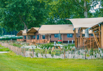 Safari tents at Lodgetent Haven 4, Zuiderzee in the Netherlands, surrounded by lush green trees and nature.