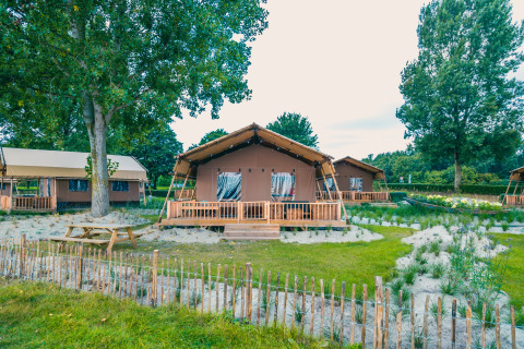 Safari telt Lodgetent Haven 4 ved Zuiderzee i Holland omgivet af træer, sand og rustik indhegning.