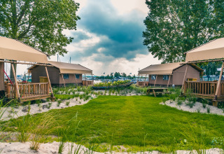Safari-indkvartering Lodgetent Haven 4 ved søen Zuiderzee, Holland, omgivet af grønt og træer.