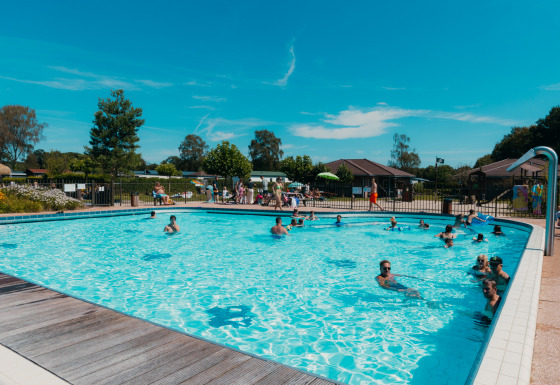 Outdoor swimming pool with happy vacationers at Holiday park De Boshoek in Gelderland, Netherlands.