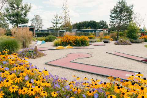 Campo da minigolf colorato tra fiori al Holiday park De Boshoek in Gelderland, Paesi Bassi.