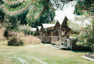 Tende glamping in un villaggio vacanze tra alberi e natura lussureggiante sotto il sole estivo.