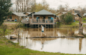 Child crossing a log over a pond in front of glamping lodges at a holiday park surrounded by nature.