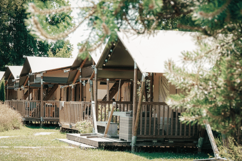 Row of safari tents with wooden porches at Safari Cottage, surrounded by green grass and leafy trees.