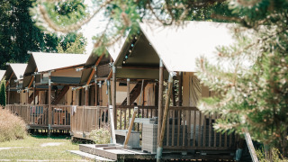 Rangée de tentes safari avec terrasses en bois au Safari Cottage, entourées d’herbe et d’arbres verts.