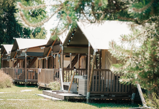 Rangée de tentes safari avec terrasses en bois au Safari Cottage, entourées d’herbe et d’arbres verts.