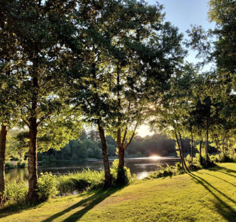 Omgivende natur - Camping _t Veld - Rheeze, Overijssel, Holland