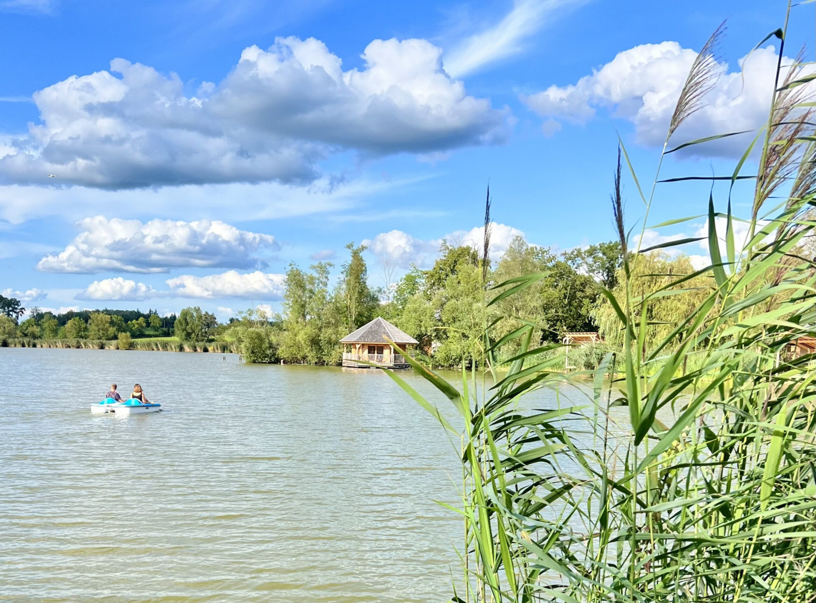 Een rustig meer bij Domaine des Feuilles in Frankrijk met Cabine Ruche, een waterfiets en groene rietplanten.