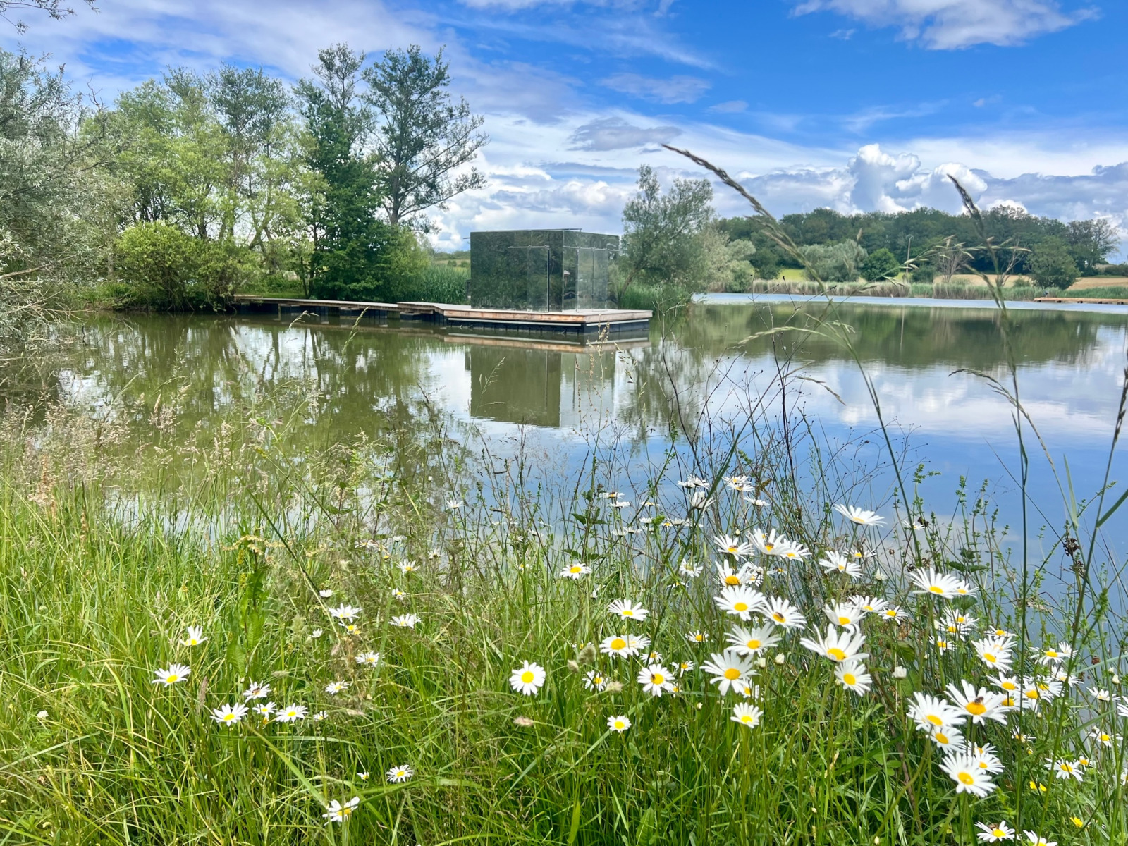 Wilde bloemen aan het meer met uitzicht op Cabine Spa Miroir, de spiegelcabine op Domaine des Feuilles in Frankrijk.