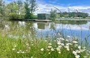 Fiori selvatici vicino al lago con vista su Cabine Spa Miroir, cabina a specchio al Domaine des Feuilles, Francia.