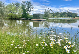 Wilde bloemen aan het water met zicht op Cabine Spa Miroir, een spiegelhuisje op Domaine des Feuilles in Frankrijk.