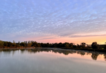 Vista tranquila de un lago al amanecer desde Cabine Spa Les Flots en Domaine des Feuilles, Francia.