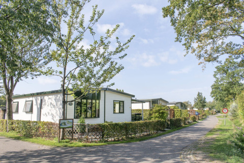 Hytter - Camping Betteld Zelhem - Zelhem, Achterhoek, Gelderland, Holland