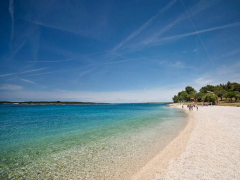 Scenic beach at Camping Brioni, Istria, Croatia, showing clear blue water, trees, and a pebble shoreline.