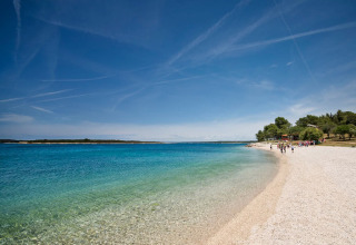 Scenic beach at Camping Brioni, Istria, Croatia, showing clear blue water, trees, and a pebble shoreline.