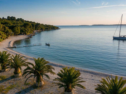Beautiful view of a peaceful beach with palm trees, green landscape and a sailboat at Camping Brioni, Istria.