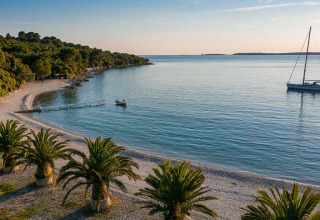 Beautiful view of a peaceful beach with palm trees, green landscape and a sailboat at Camping Brioni, Istria.