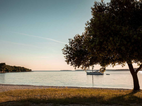 Tranquil beach with tree in foreground, boat on calm water and sunset at Camping Brioni, Istria, Croatia.
