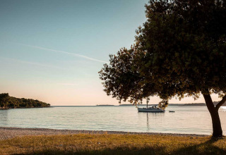 Spiaggia tranquilla con albero in primo piano, barca sull’acqua calma, Camping Brioni, Istria, Croazia.