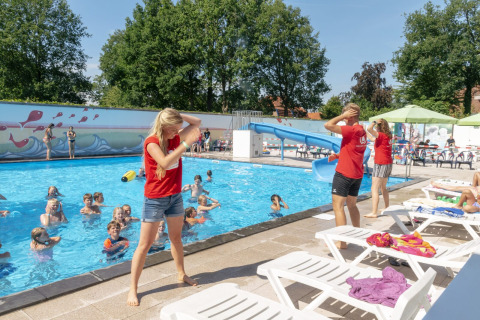 Swimming pool _ Animation children - Camping Betteld Zelhem - Zelhem, Achterhoek, Gelderland, Netherlands