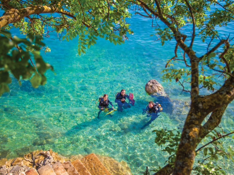 Drie duikers staan in helder blauw water bij trappen en rotsen onder bomen in Labin, Istrië, Kroatië.