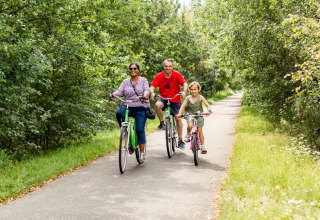 Cykling gennem naturen - Baalse Hei - Turnhout, Antwerpen, Belgien