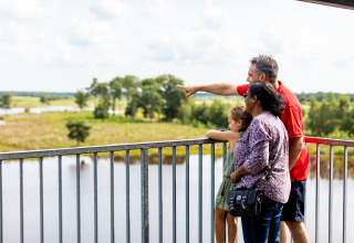Family looking at view - Baalse Hei - Turnhout, Antwerp, Belgium