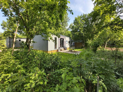 Lodge tra gli alberi - Baalse Hei - Turnhout, Anversa, Belgio