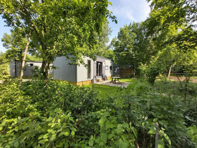 Loge parmi les arbres - Baalse Hei - Turnhout, Anvers, Belgique